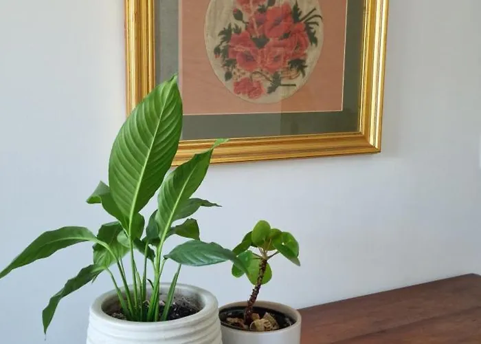 Casa Do Bairro - O Seu Refugio Prázdninový dům *