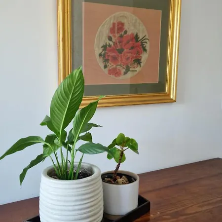 Casa Do Bairro - O Seu Refugio Hébergement de vacances *