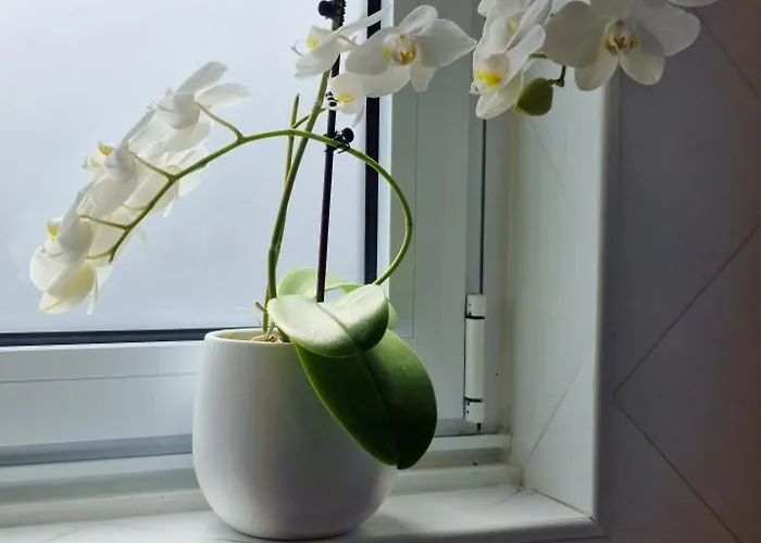 Casa Do Bairro - O Seu Refugio Semesterbostad *